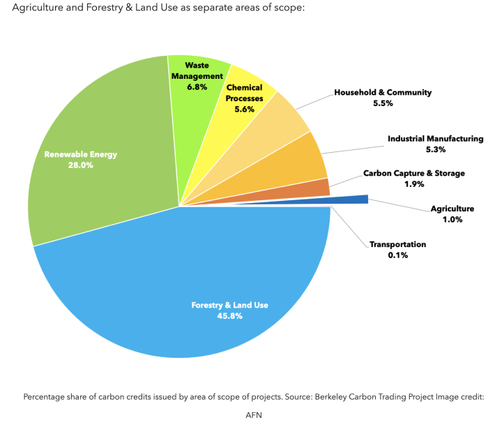 Grafico: Dati del Berkeley Carbon Trading Project